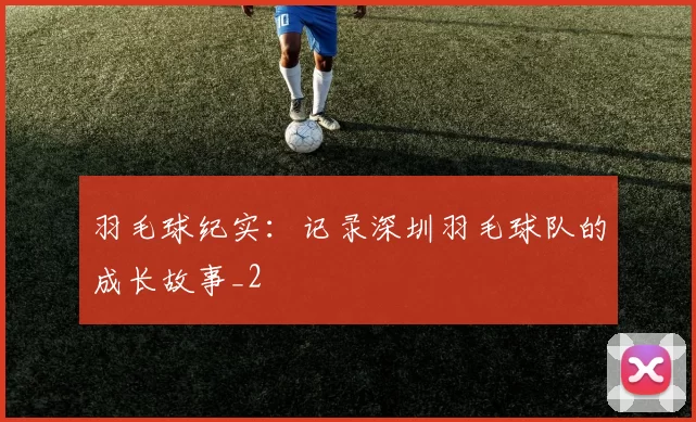 羽毛球纪实：记录深圳羽毛球队的成长故事_2