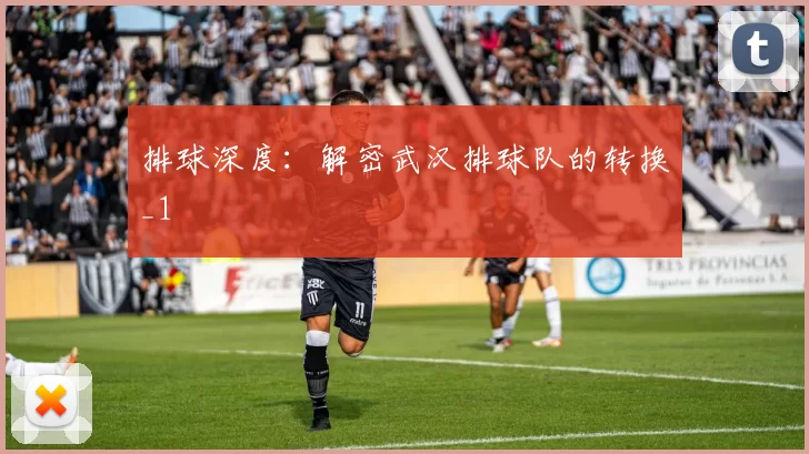 排球深度：解密武汉排球队的转换_1