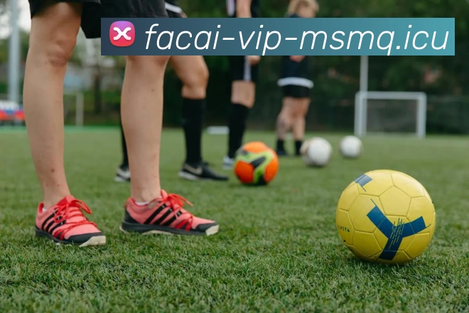 华体会体育平台生态图